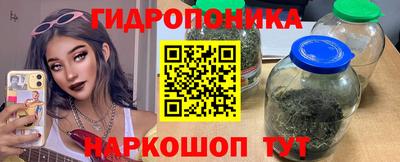 СК Гай