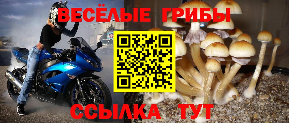 Псилоцибиновые грибы прущие грибы  цены   Нижний Тагил  Галлюциногенные грибы Psilocybe  Вход с VPN 